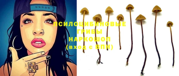бошки Тайга