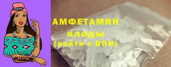ГАЛЛЮЦИНОГЕННЫЕ ГРИБЫ Горно-Алтайск