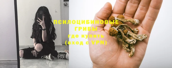 кристаллы Вяземский