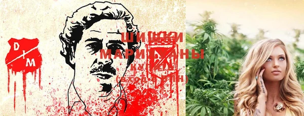 ГАЛЛЮЦИНОГЕННЫЕ ГРИБЫ Горно-Алтайск