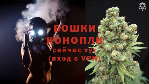 гидропоника Горняк