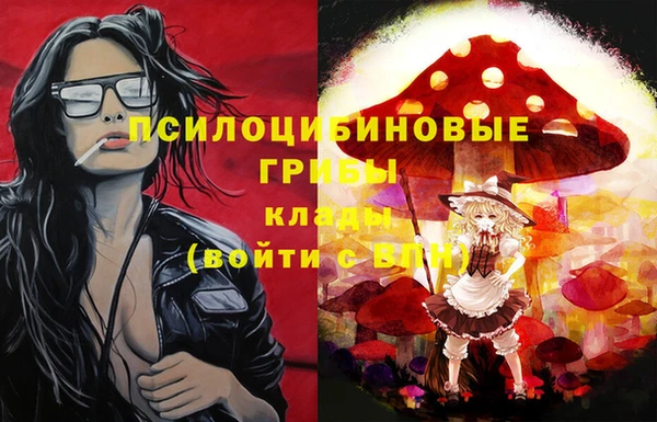 ГАЛЛЮЦИНОГЕННЫЕ ГРИБЫ Горно-Алтайск