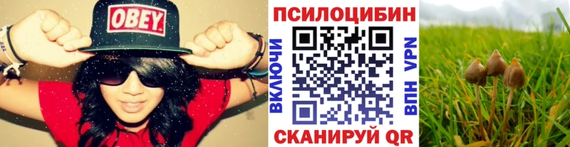 блэк спрут вход  Мценск  Псилоцибиновые грибы ЛСД 